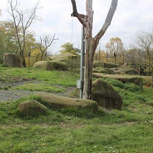 View into the Lion-enclosure