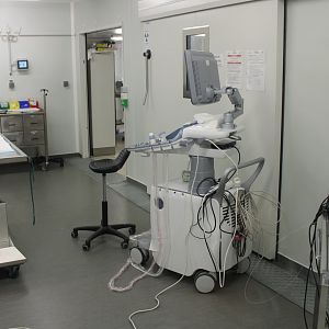 View into the Animal-hospital