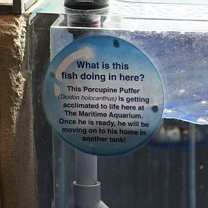 Quarantine Tank Sign