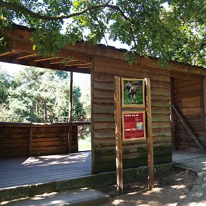African hunting dog observation area,  2019-09-15