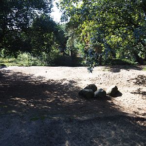 Second spotted hyena exhibit, 2019-09-15