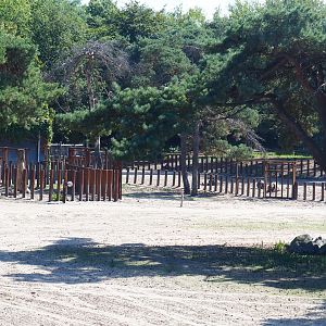 Southern white rhinoceros separation paddocks, 2019-09-15