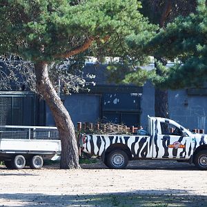 Zookeeper vehicle and Southern white rhinoceros barn, 2019-09-15