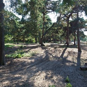 Side yard for the antelopes next to the rhinoceros and hoofstock paddock, 2019-09-15