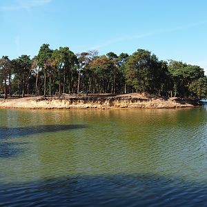 Safari boat canal with yak exhibit, 2019-09-15
