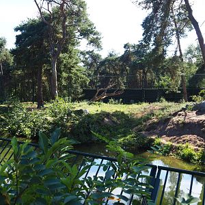 Second Amur tiger exhibit, 2019-09-15