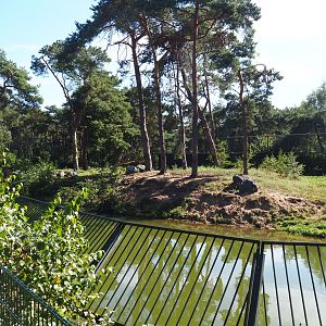 Second Amur tiger exhibit, 2019-09-15