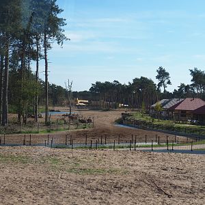 Safari Resort savanna paddock, 2019-09-15