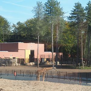 Safari Resort savanna paddock and barn, 2019-09-15