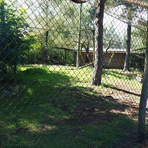 Secretary bird aviary, 2019-09-15
