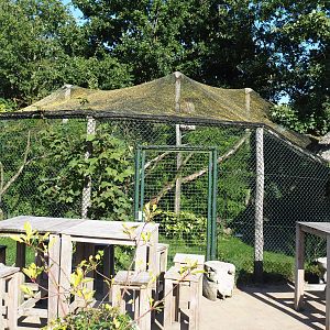 Red-crested turaco and Spotted thick-knee aviary, 2019-09-15