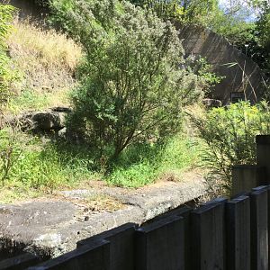 Disused Malayan Sun Bear Exhibit (2019)