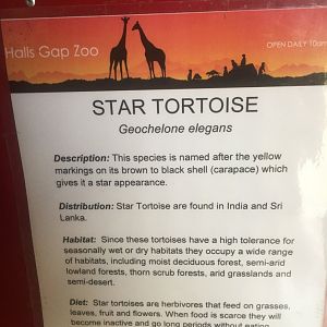 Star Tortoise Information Sign