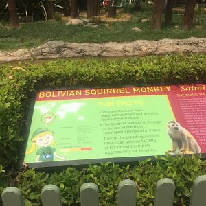 Squirrel Monkey Information Sign