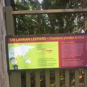 Sri Lankan Leopard Information Sign