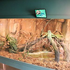 Scrub Python Enclosure