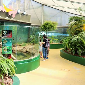 Reptile Enclosure