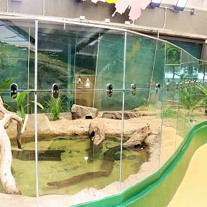 Reptile Enclosure