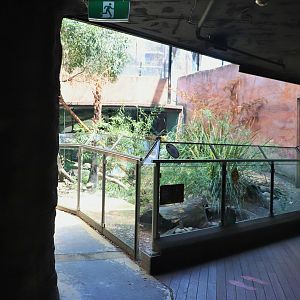 Tasmanian Devil Enclosure