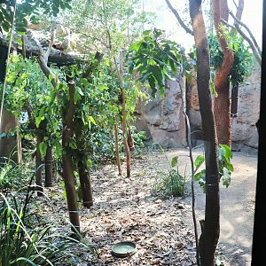 Koala/Kookaburra/Bush Stone Curlew Enclosure