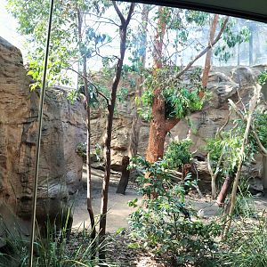 Koala/Kookaburra/Bush Stone Curlew Enclosure