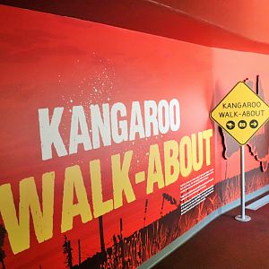 Kangaroo Walk-about