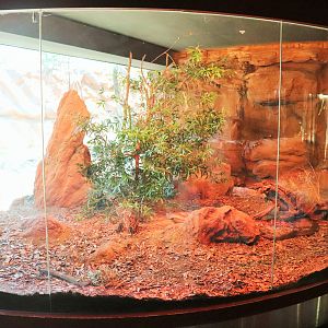 Olive Python Enclosure