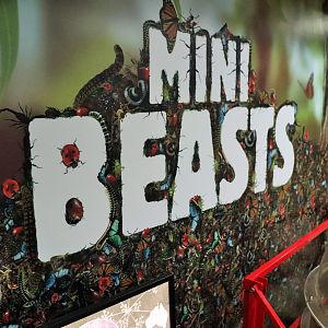 Mini Beasts Sign