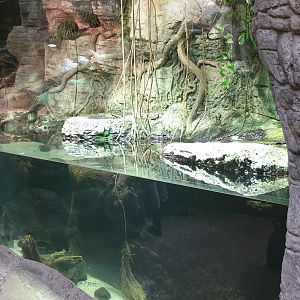 Python enclosure