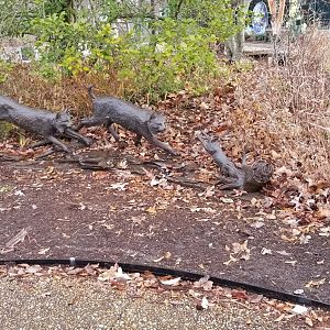 VA Living Museum - Bobcat statue out front