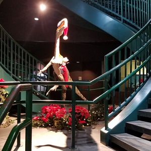 VA Living Museum - bottom of double helix staircase