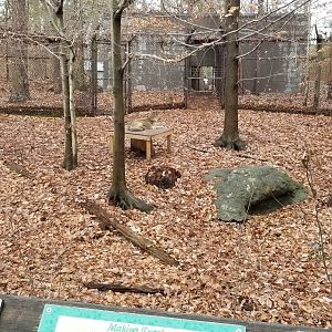 VA Living Museum - Coyote exhibit