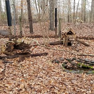 VA Living Museum - Opossum exhibit