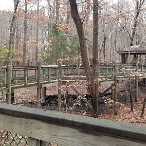 VA Living Museum - example of walkways; all outside paths are on these raised boardwalks
