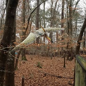 VA Living Museum - Example of dinosaurs