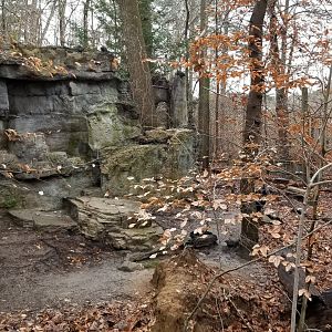 VA Living Museum - Vulture exhibit, 1 black and 1 TV