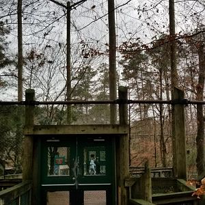 VA Living Museum - Entry to aviary from direction of wolves
