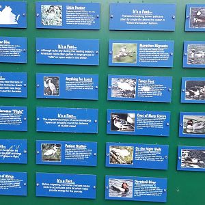 VA Living Museum - Aviary species list