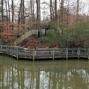 VA Living Museum - View of Raccoon exhibit, etc from aviary