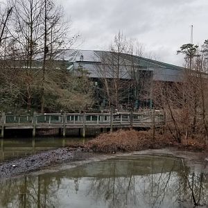 VA Living Museum - View of back of museum from aviary