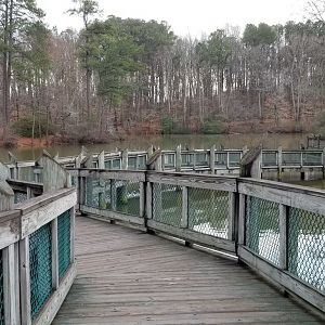 VA Living Museum - path over pond from aviary back to museum