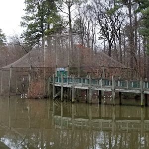 VA Living Museum - View of aviary from raccoon exhibit