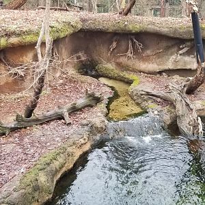 VA Living Museum - Otters land area