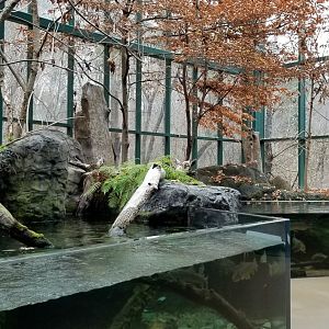 VA Living Museum - Appalachian Cove