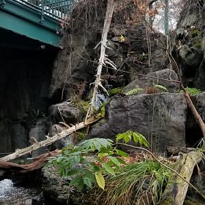 VA Living Museum - Appalachian Cove