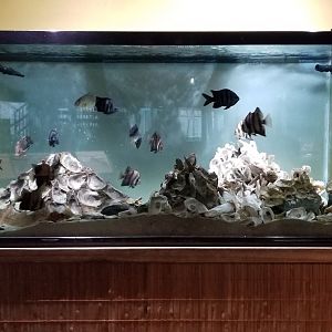 VA Living Museum - Appalachian Cove - tank behind stairs