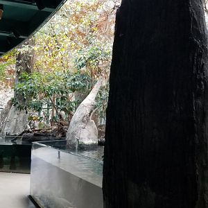 VA Living Museum - Cypress Swamp