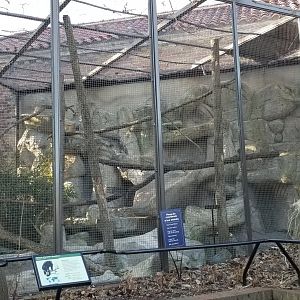 Smithsonian -  black howler monkey exhibit
