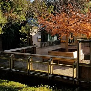 Smithsonian -  outdoor reptile buildings