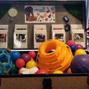 Smithsonian -  Enrichment Trunk in gift shop